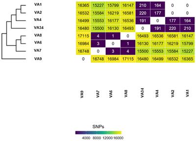 Surveillance of carbapenem-resistant organisms using next-generation sequencing